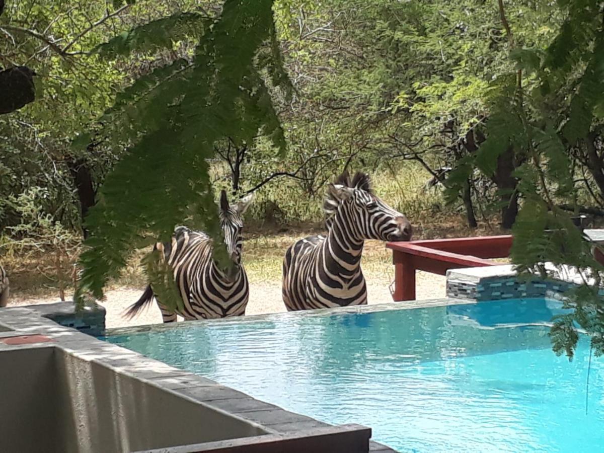 Turaco Lodge - No Loadshedding Marloth Park Εξωτερικό φωτογραφία