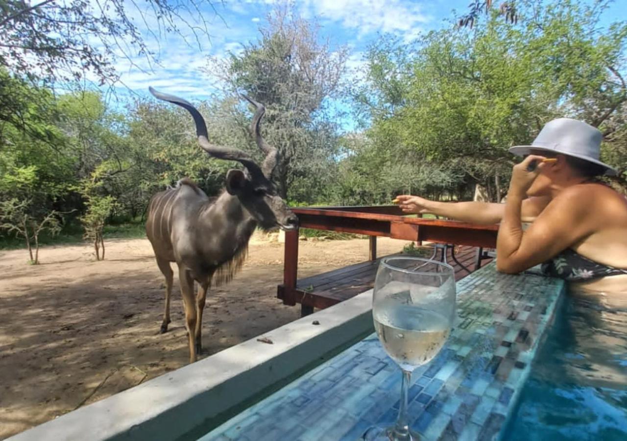 Turaco Lodge - No Loadshedding Marloth Park Εξωτερικό φωτογραφία